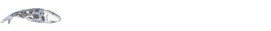 fish-4.gif (17890 bytes)